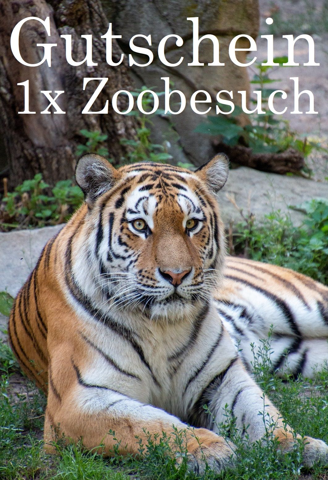 Groupon Zoo Gutschein Ausdrucken