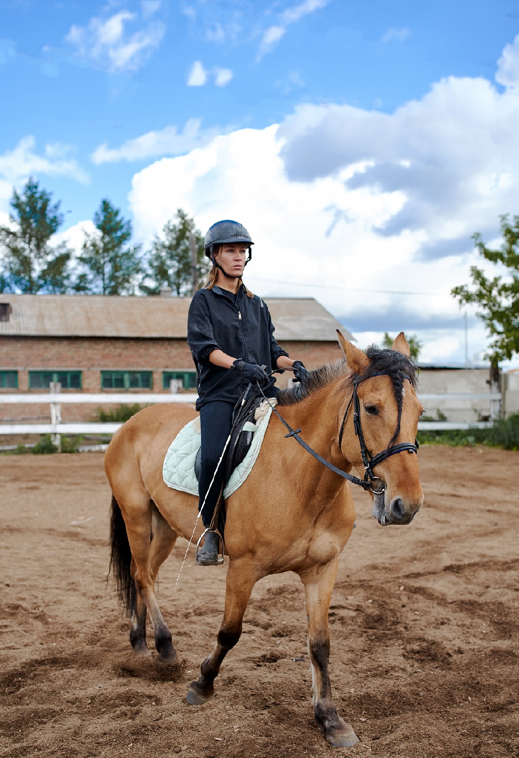 Gutschein Reiten Zum Ausdrucken