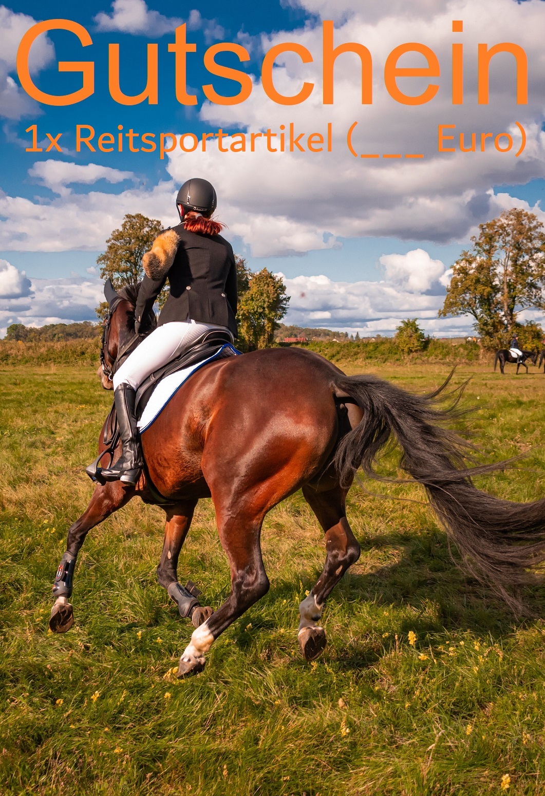 Gutscheine Reiten Ausdrucken